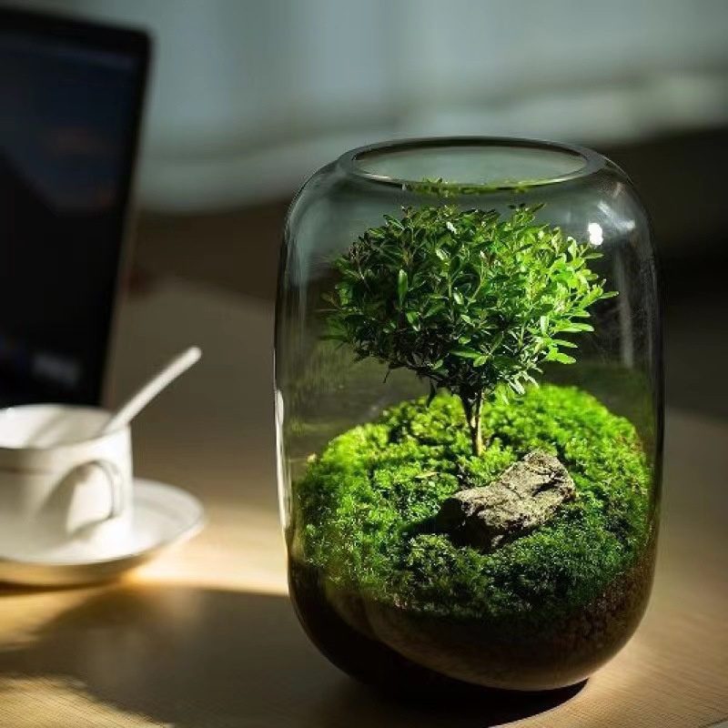 Wholesale Glass Vase HP-002 - Image 4